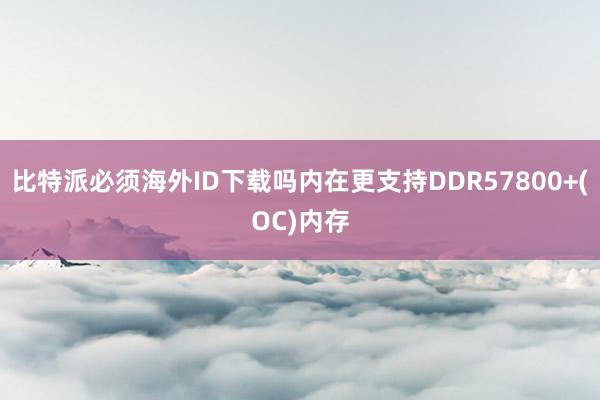 比特派必须海外ID下载吗内在更支持DDR57800+(OC)内存