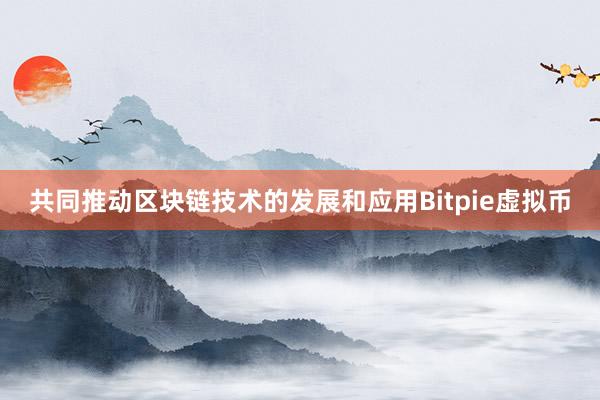 共同推动区块链技术的发展和应用Bitpie虚拟币