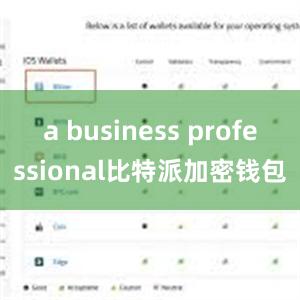 a business professional比特派加密钱包